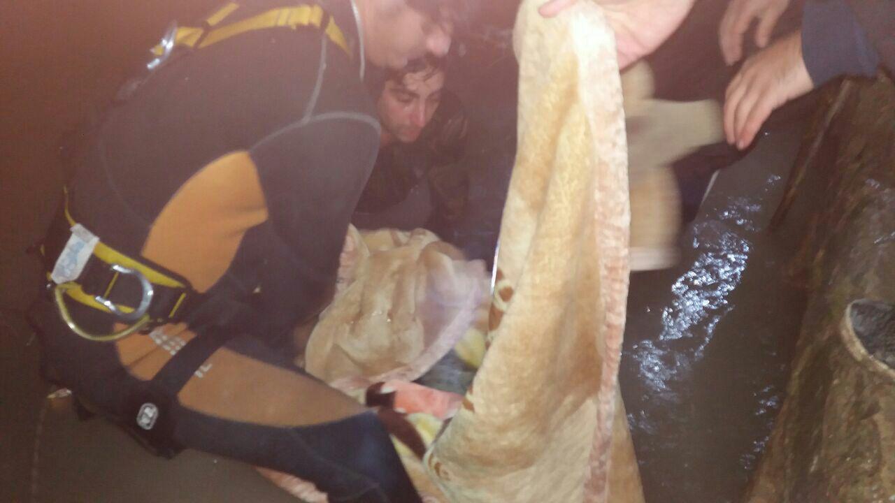 غرق شدن کودک نکایی