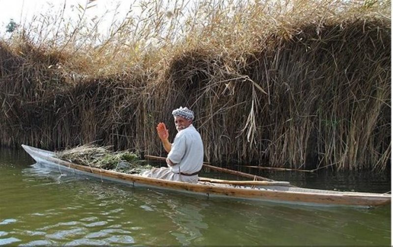 هور زنده شد