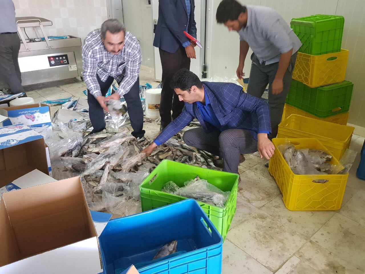 ماهی خبرساز...