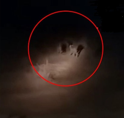 یوزپلنگ ها در تله جاده