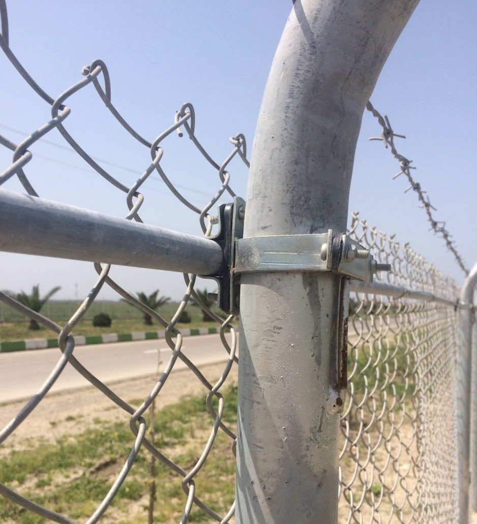 یوزپلنگ ها در تله جاده