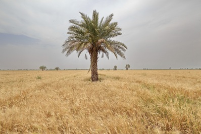 ۴۰ سال امیدِ آبادی