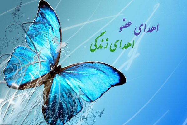 زندگی دوباره... زندگی دوباره...