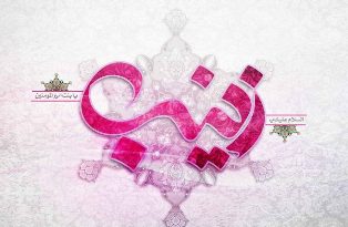 روز پرستار ،خجسته زادروز بانوی صبر