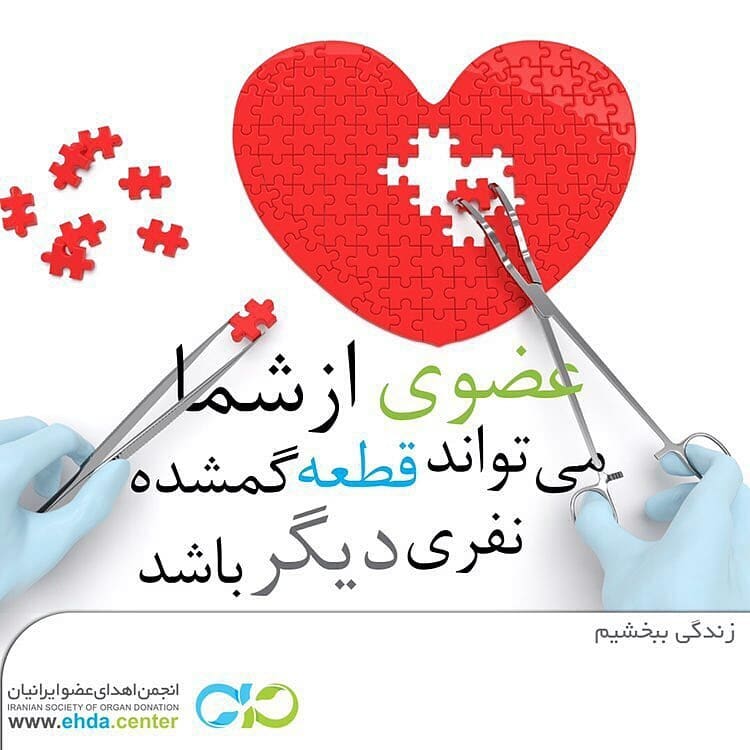 سلام زندگی//لطفا منتشر نشود