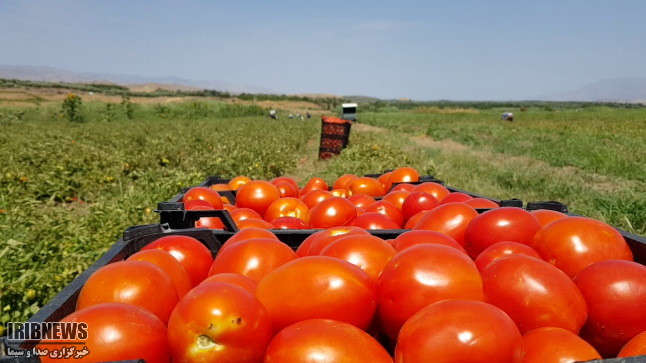 رنج بی حاصل