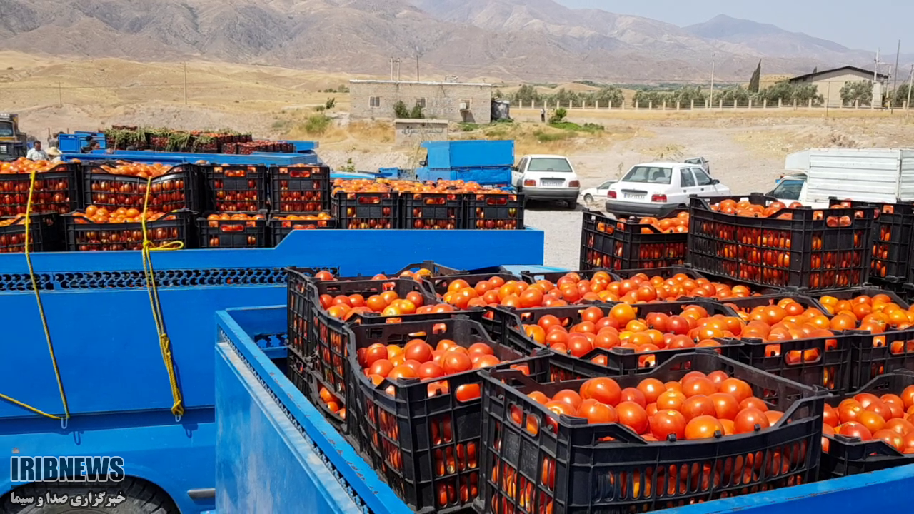 رنج بی حاصل