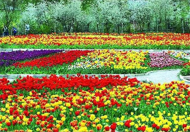 رنگ باخته های رنگارنگ