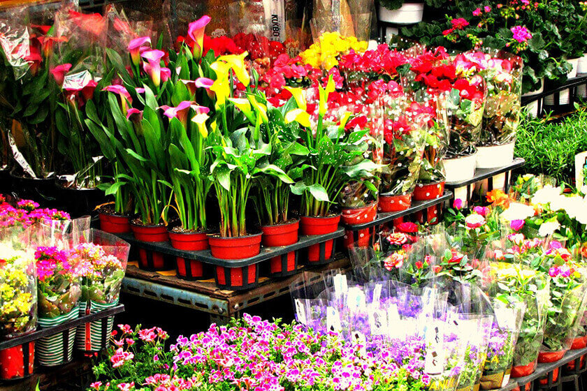 رنگ باخته های رنگارنگ