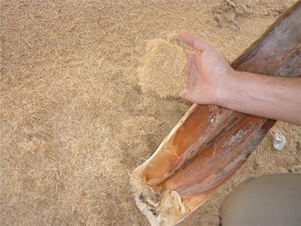 تبدیل پسماند به علوفه ؛ تجارتی جدید و سودآور