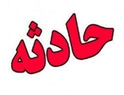 شکار شکارچی
