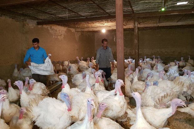 حرکت همراه با برکت(لطفا منتشر نشود در حال تکمیل)