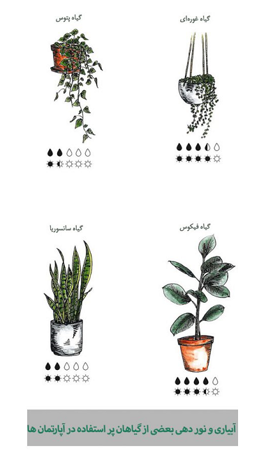 روش نگهداری گیاهان آپارتمانی روش نگهداری گیاهان آپارتمانی
