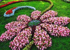 ۷ ایده&zwnj;ی زیبا برای طراحی بستر گل