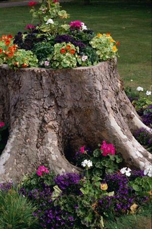 ۷ ایده&zwnj;ی زیبا برای طراحی بستر گل