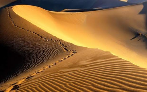 فیلم &laquo;شبی در کویر&raquo; در یزد ساخته می&zwnj;شود
