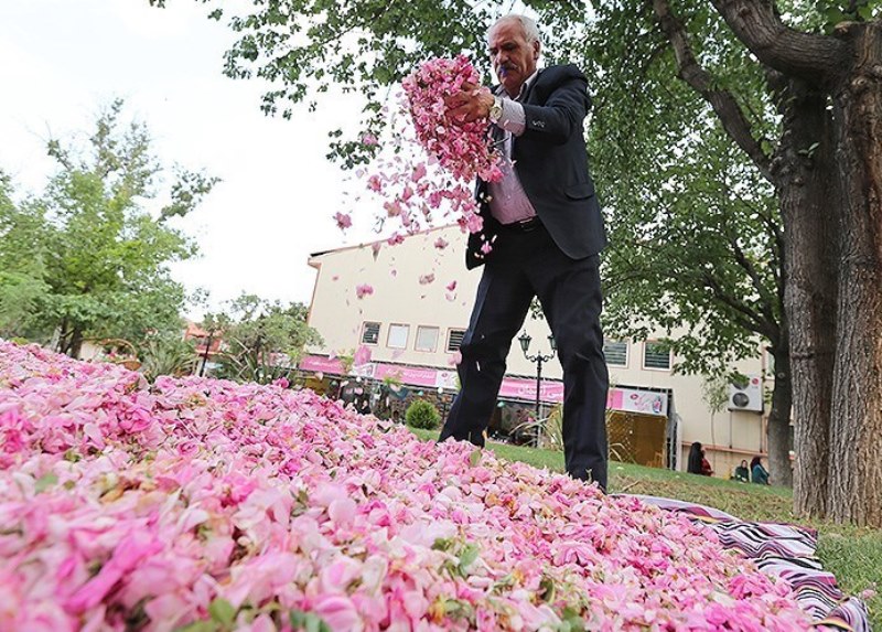 منشاد، قطب گل محمدی استان یزد منشاد، قطب گل محمدی استان یزد