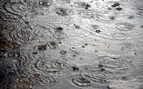صدای پای بی آبی