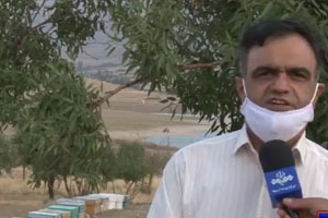 نیشِ نوش