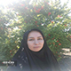 درد مازندران پنهان شده در پوسته&zwnj;ای سبز؛&nbsp;&nbsp;مازندران چرا پس از حدود ۷ ماه از بحران کرونا همچنان قرمزه؟