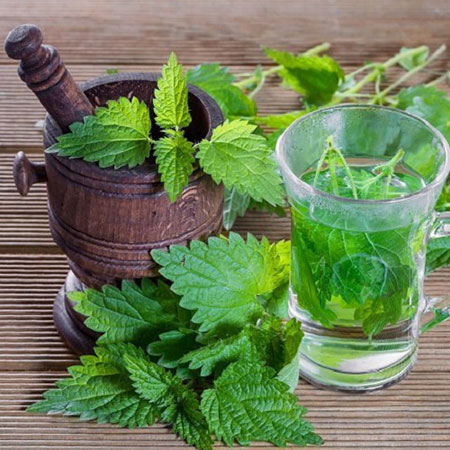خواص حیرت انگیز عرق گزنه خواص حیرت انگیز عرق گزنه