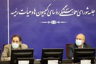 همکاری کمیسیون&zwnj;های مجلس در موضوعات فرابخشی
