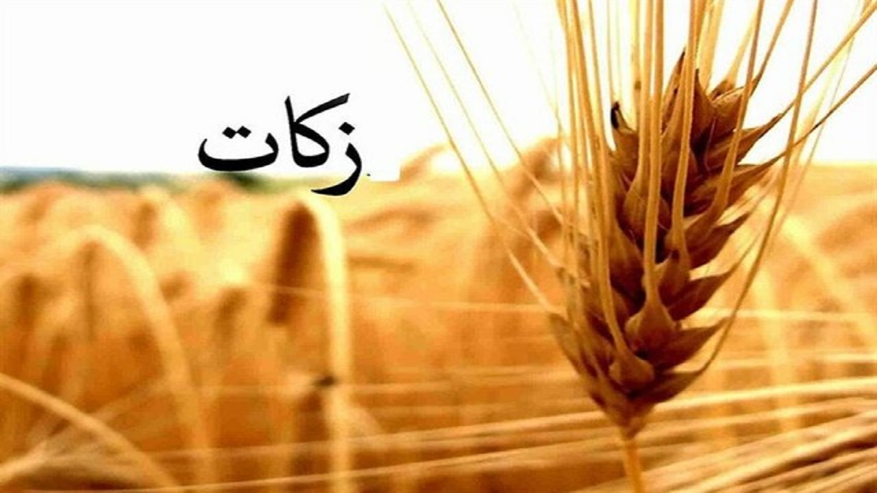 یک خرمن نعمت یک دنیا شکرانه