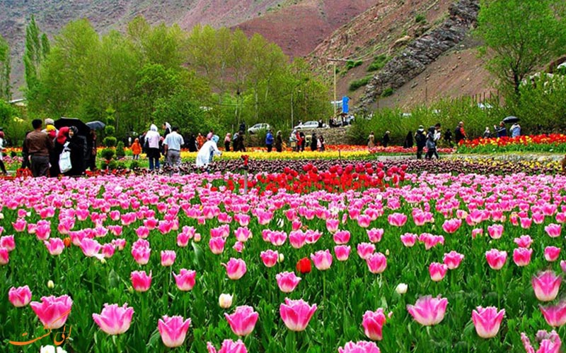 محلات، هلند ايران محلات، هلند ايران
