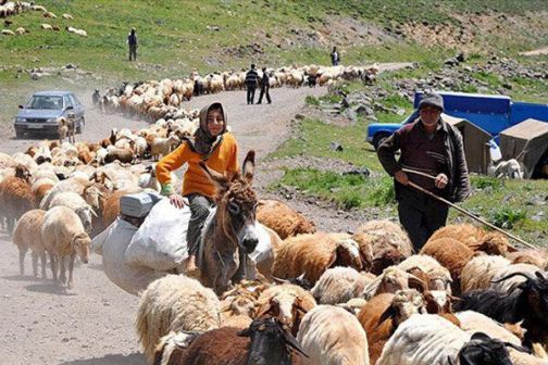 کوچ عشایر به هرمزگان کوچ عشایر به هرمزگان