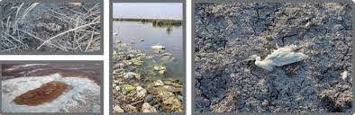 خطری بیخ گوش همه...