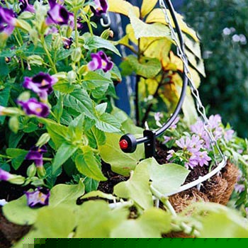 ترفند&zwnj;هایی برای باغبانی آسان در خانه