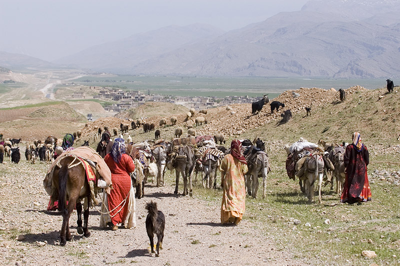 کوچ بهاره عشایر از هرمزگان کوچ بهاره عشایر از هرمزگان