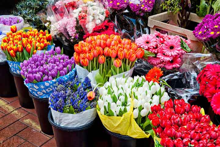 معانی گل&zwnj;ها و گل به عنوان نماد کشورها!