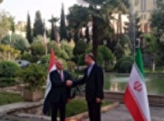 &laquo;فؤاد حسین&raquo; با امیرعبداللهیان دیدار کرد