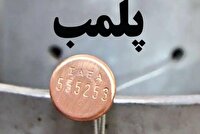 پلمب یک واحد غیرمجاز کاشت مو در شهرستان ایوان