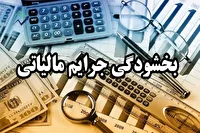 تمدید مهلت بخشودگی جرایم مالیاتی تا ۱۴ اسفند