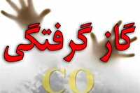 ۲۶ مورد مسمومیت تنفسی در ایلام؛ «قاتل خاموش» در کمین خانوار‌ها