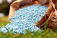 افزایش ۴۱ درصدی تأمین و توزیع کود کشاورزی در همدان