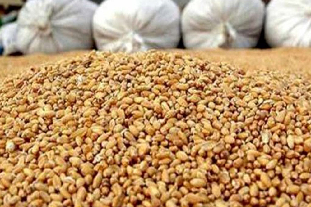 تامین و توزیع ۳۸ هزار تن انواع نهاده دامی در استان کرمانشاه