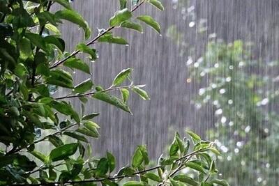 افزایش ۴۹ درصدی بارندگی‌های کرمانشاه نسبت به سال آبی گذشته