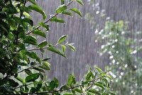 افزایش ۴۹ درصدی بارندگی‌های کرمانشاه نسبت به سال آبی گذشته