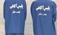 کشف ۷ فقره سرقت و دستگیری ۲ سارق در تالش