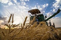 جذب بیش از ۱۸ هزار میلیارد ریال تسهیلات کشاورزی در سیستان و بلوچستان