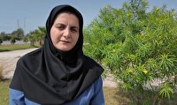 از باران تا تندباد