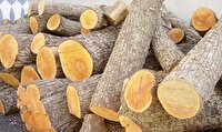 کشف چوب قاچاق در سیاهکل