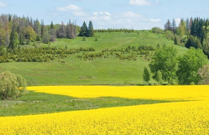 افزایش نسبی دمای هوا در روز‌های آینده