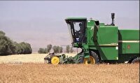 برداشت خوشه‌های طلایی گندم در زاهدان