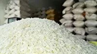 مهر و موم کارگاه غیر مجاز با ۵۰ تن برنج تقلبی در شیراز
