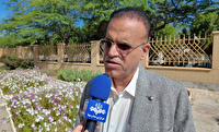 پیش بینی برداشت ۱۰۰ هزارتن گندم در استان بوشهر