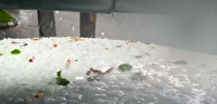 بارش شدید باران و تگرگ در برخی مناطق آذربایجان شرقی